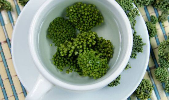 三七花翠珠茶的功效与作用