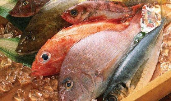 三七粉不能和什么东西一起吃