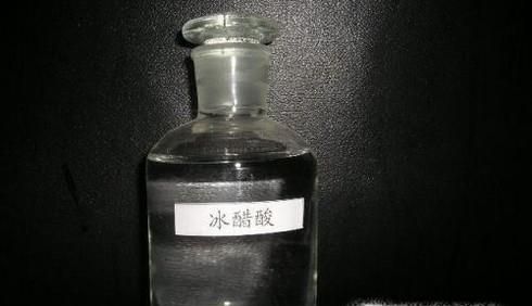 泰国海滩为何突然出现大量可致死剧毒水母