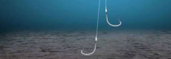 钓鱼调漂的正确方法
