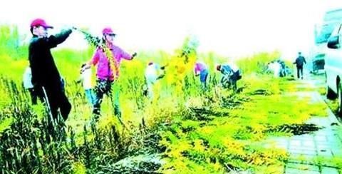 物种入侵有什么危害