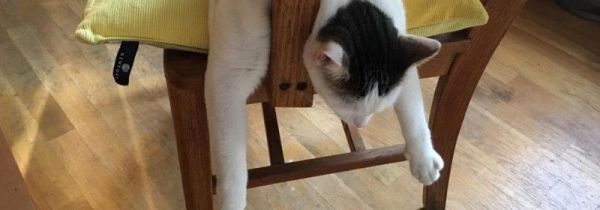 累扒了是什么意思