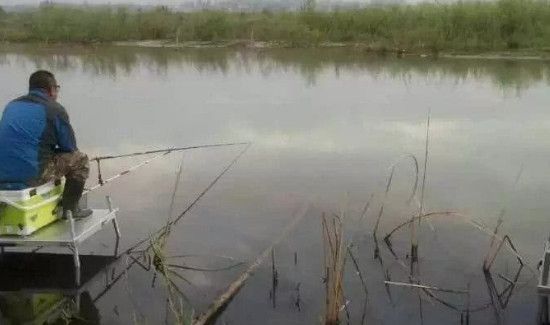 钓鱼调漂的正确方法