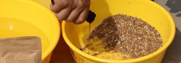 钓鱼小药怎么用