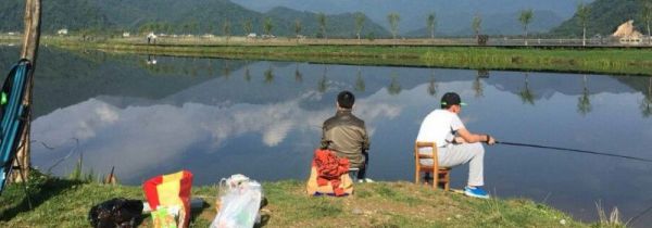 怎么钓鱼才能钓的多