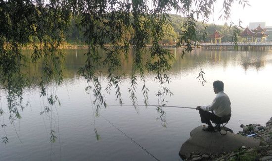 怎么钓鱼才能钓的多