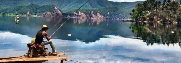 怎么钓鱼鱼容易上钩