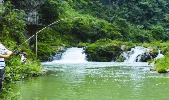 怎么钓鱼才能钓的多