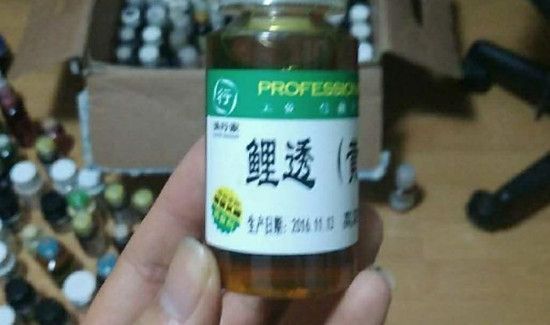 钓鱼小药有藿香的味道