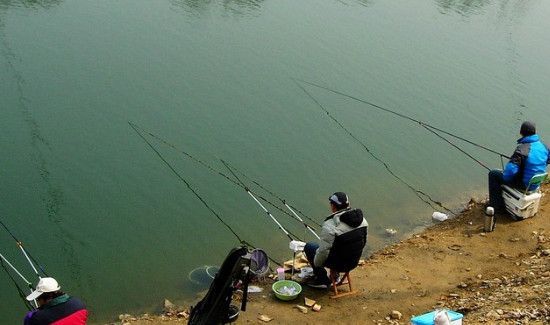 怎么钓鱼鱼容易上钩