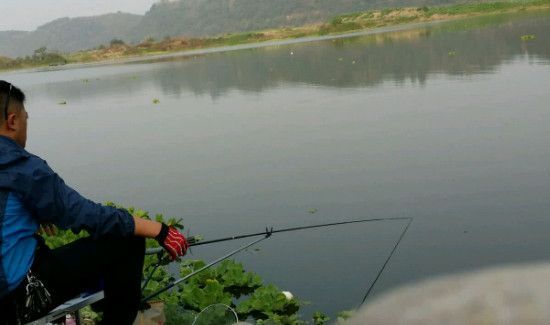 怎么钓鱼鱼容易上钩