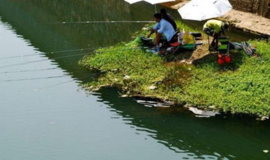 深秋怎么钓鲫鱼