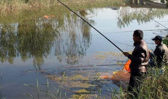 深秋怎么钓鲫鱼