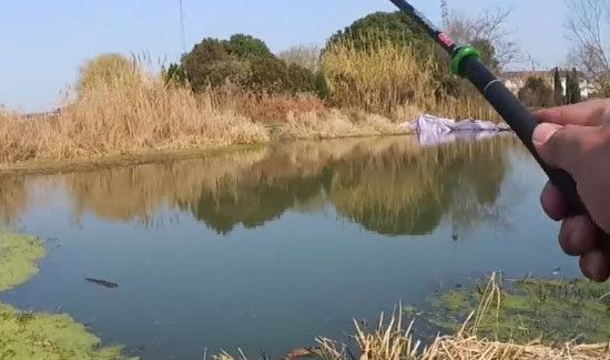 怎么钓鲫鱼