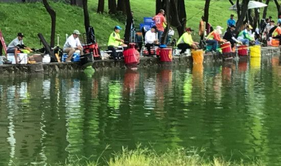 深秋降温怎么钓鲫鱼