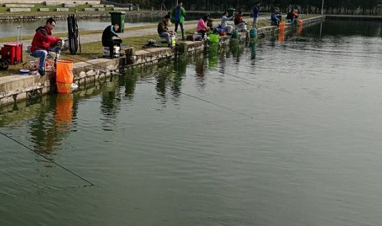 闹小鱼怎么钓鲫鱼