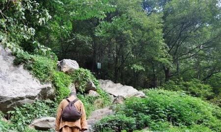 终南山为何多隐士