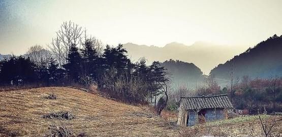 终南山为何多隐士