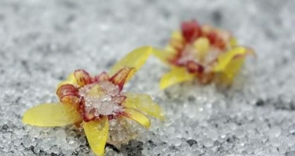 什么季节容易下冰雹