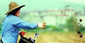 倒春寒时节应该如何保护花木