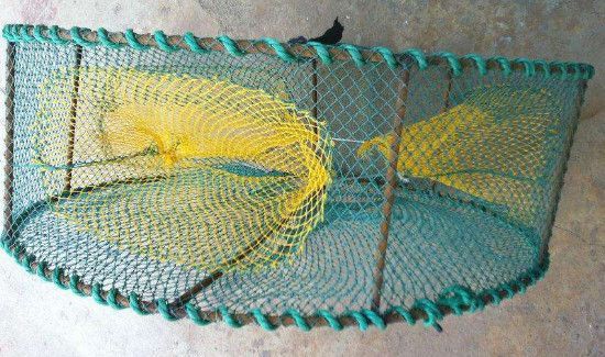 丝袜钓螃蟹方法