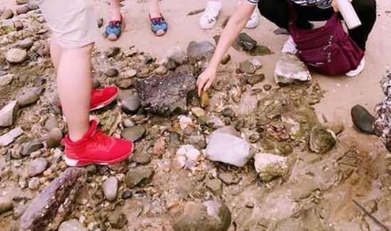 河岸上有很多小螃蟹怎么钓