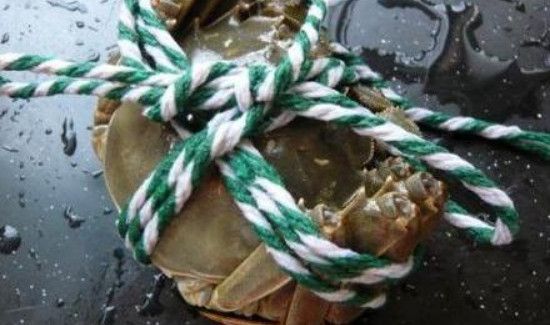 丝袜钓螃蟹怎么绑