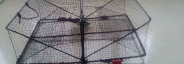 自制捕蟹笼图解