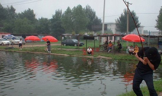 冬天怎么钓草鱼