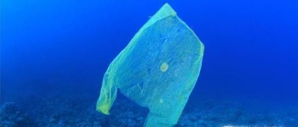 垃圾对海洋生物有哪些影响