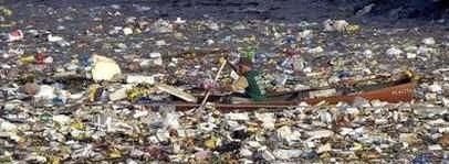 垃圾对海洋生物有哪些影响