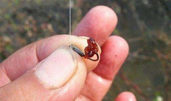 钓草鱼饵料配方