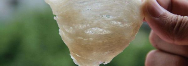 三角燕窝为什么少人要