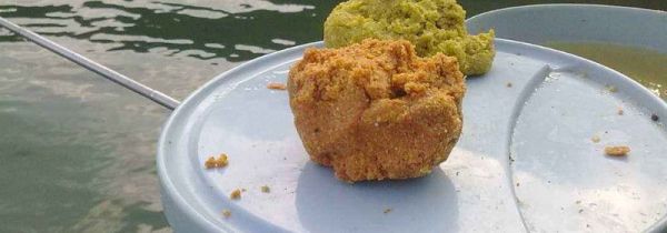 钓鲫鱼饵料配方