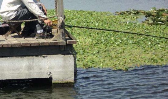 钓鲫鱼调漂的正确方法