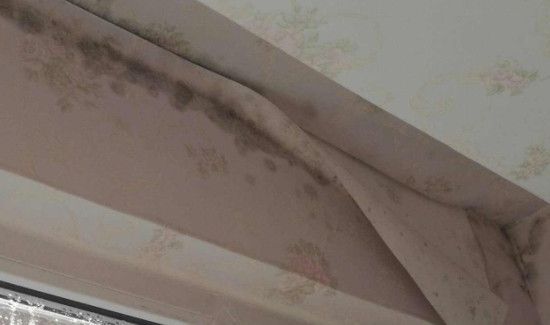 墙纸脱落修复方法