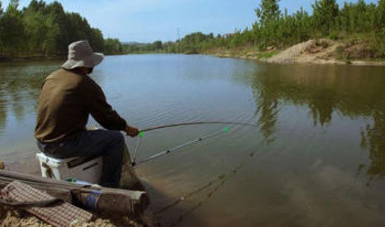 钓鲫鱼用什么打窝