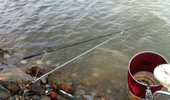 钓白条鱼饵料配方