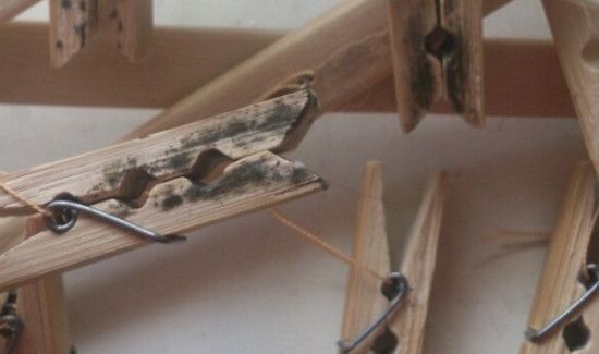 木质衣架发霉了怎么办