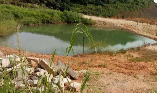 钓甲鱼怎么选位置