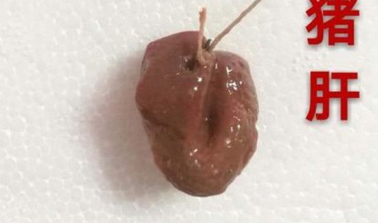 钓甲鱼用什么饵