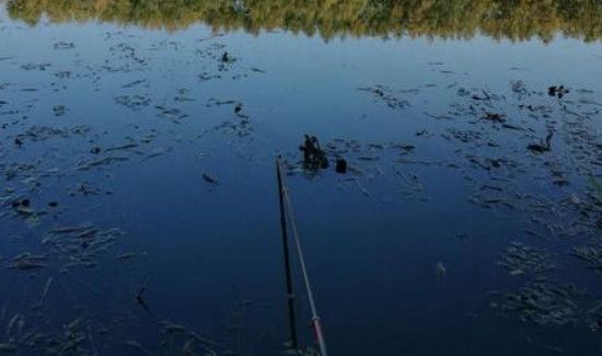 钓甲鱼怎么穿猪肝图