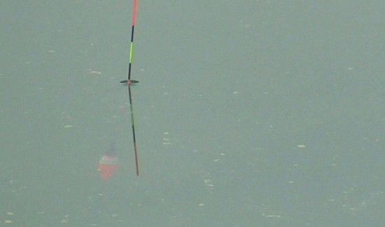 钓大鱼调漂的正确方法