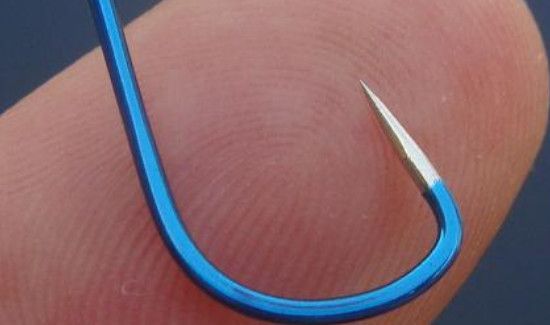 钓鲤鱼用几号钩