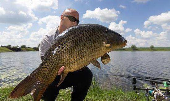 钓大鱼的技巧和方法