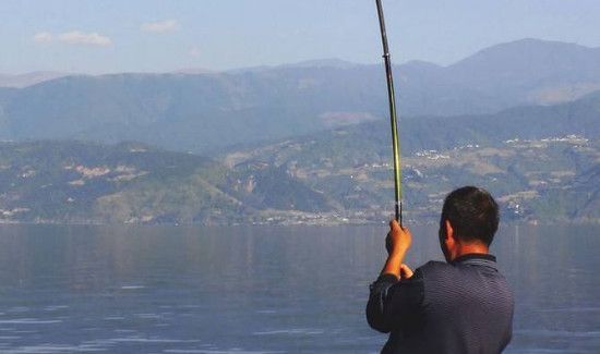 钓大鱼的技巧和方法