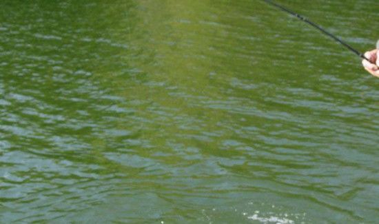 秋季钓鱼多深的水适合