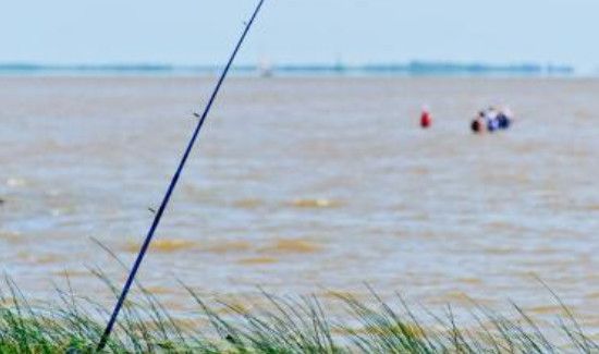 秋季钓鱼钓远还是近