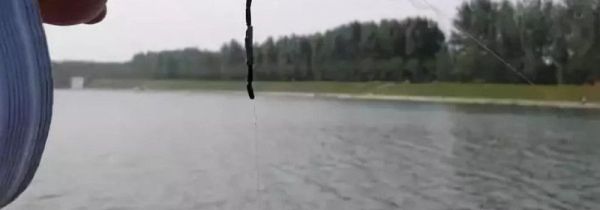 钓鲈鱼钓组图解