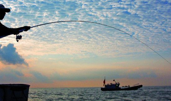 秋季钓鲢鳙怎么找鱼层